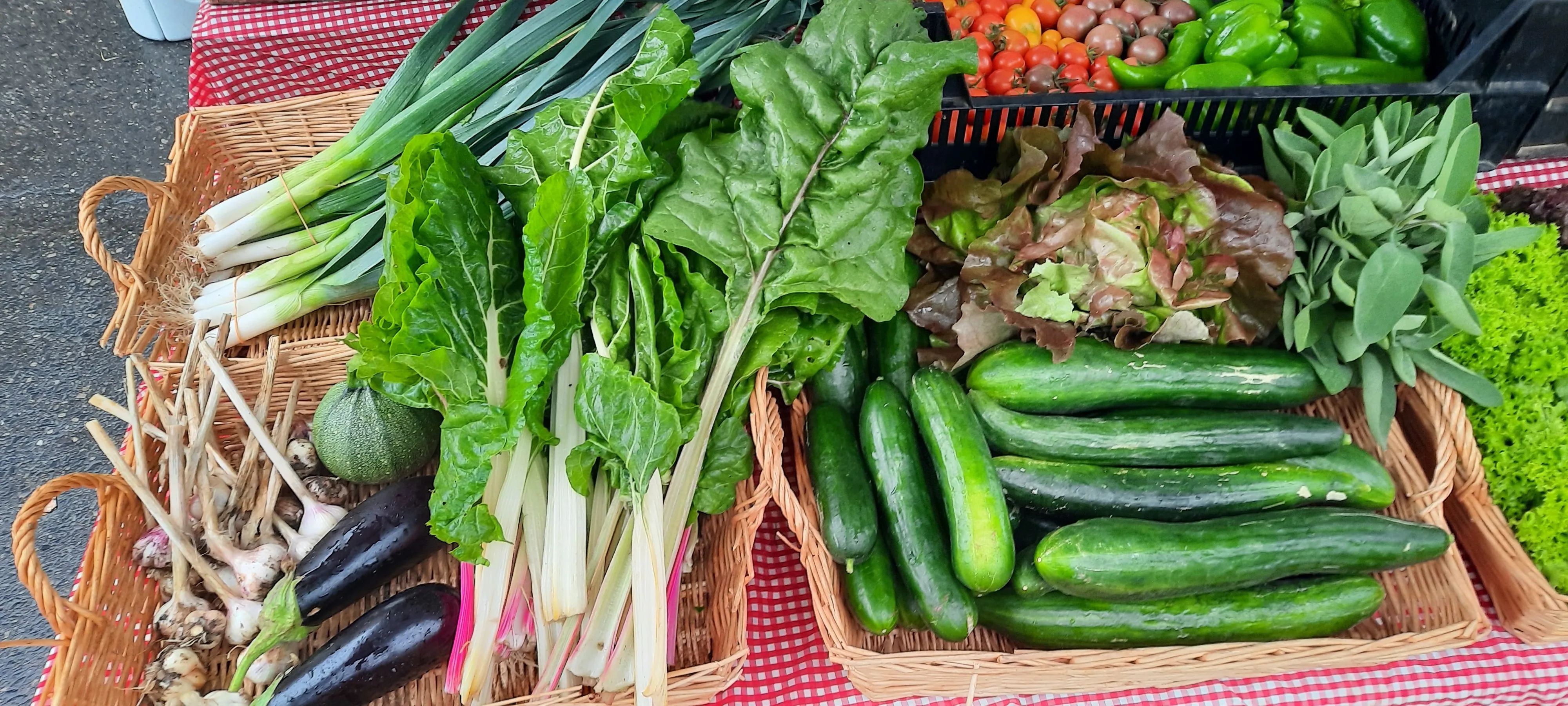 Étal de légumes variés : blettes, aubergines, concombres, salades