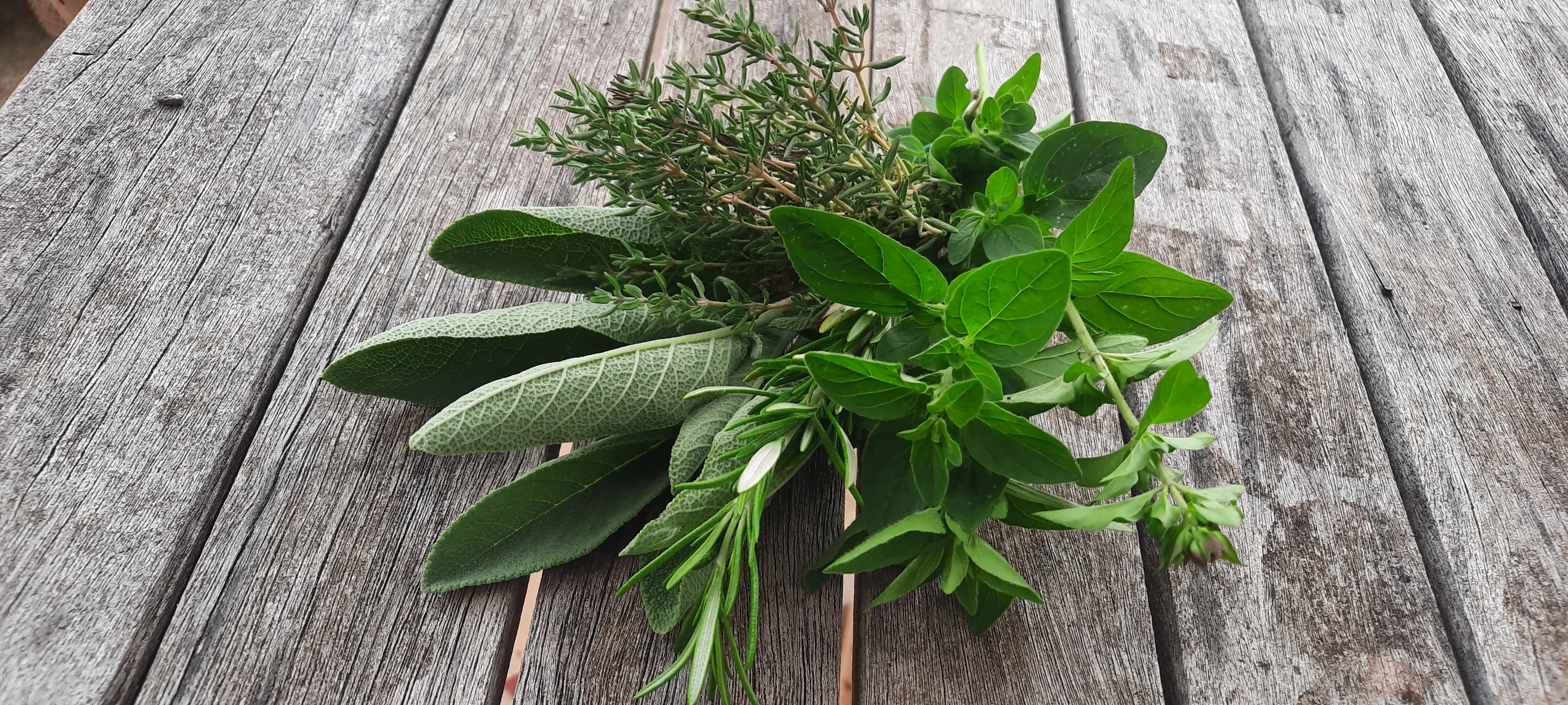 Bouquet d’herbes aromatiques du jardin